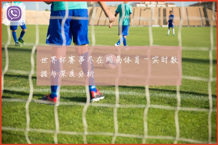 世界杯赛事尽在网易体育 - 实时数据与深度分析