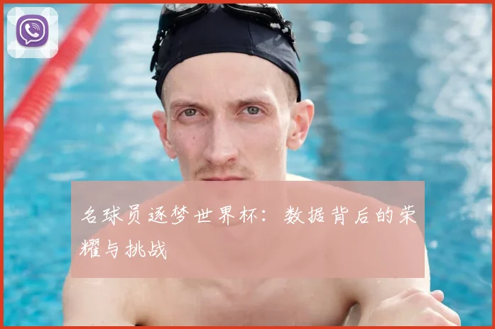 名球员逐梦世界杯:数据背后的荣耀与挑战