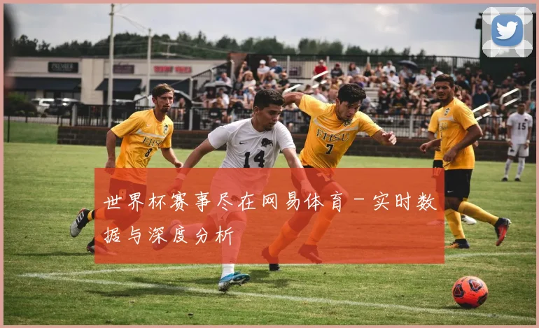 世界杯赛事尽在网易体育 - 实时数据与深度分析