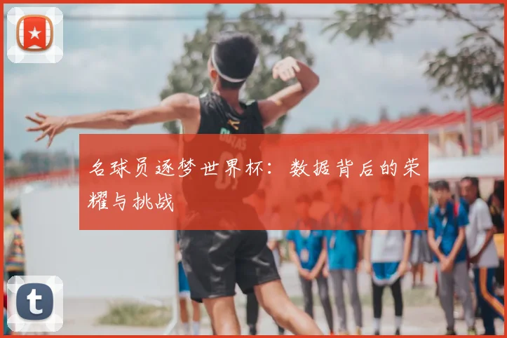 名球员逐梦世界杯:数据背后的荣耀与挑战